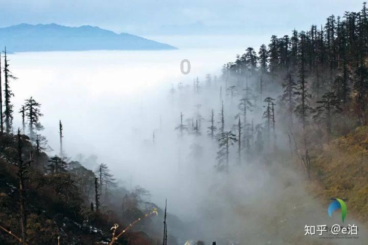 小猫钓鱼游戏龙王版有船